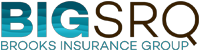 Big SRQ Insurance